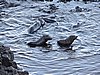 DSCN4090.JPG