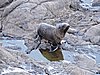 DSCN4091.JPG