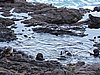 DSCN4096.JPG