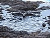 DSCN4102.JPG