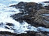 DSCN4104.JPG