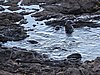 DSCN4105.JPG