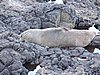 DSCN4107.JPG