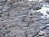 DSCN4108.JPG