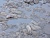 DSCN4109.JPG