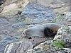 DSCN4110.JPG