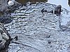 DSCN4111.JPG