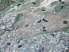 DSCN4112.JPG