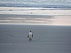DSCN4174.JPG