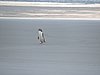 DSCN4175.JPG