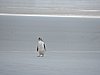 DSCN4177.JPG