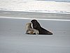 DSCN4182.JPG