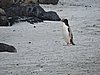 DSCN4189.JPG