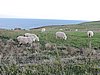 DSCN4190.JPG