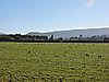 DSCN4201.JPG