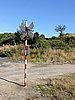 DSCN4209.JPG