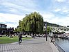 DSCN4268.JPG