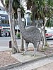DSCN4269.JPG