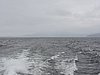 DSCN4274.JPG