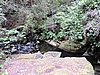 DSCN4275.JPG
