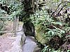 DSCN4277.JPG