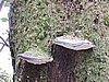 DSCN4280.JPG