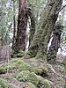 DSCN4281.JPG