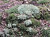 DSCN4282.JPG