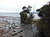DSCN4286.JPG