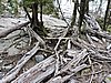 DSCN4287.JPG