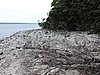 DSCN4288.JPG