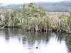 DSCN4298.JPG