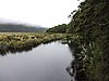 DSCN4300.JPG