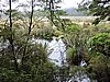 DSCN4301.JPG