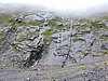 DSCN4313.JPG