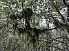 DSCN4320.JPG