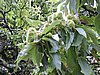 DSCN4436.JPG