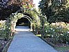 DSCN4597.JPG