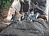 DSCN4608.JPG