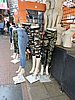 DSCN6679.JPG