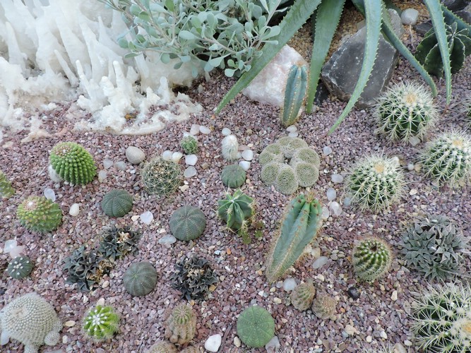 DSCN2779.JPG