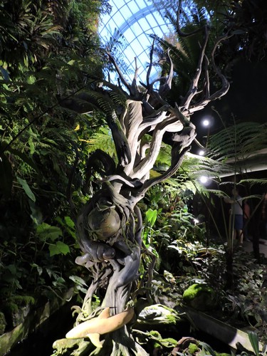 DSCN2831.JPG