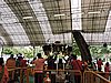 DSCN2567.JPG