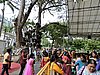 DSCN2569.JPG