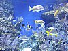 DSCN2709.JPG