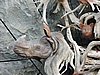 DSCN2798.JPG