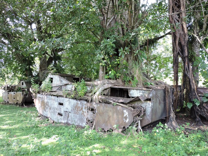 DSCN5581.JPG