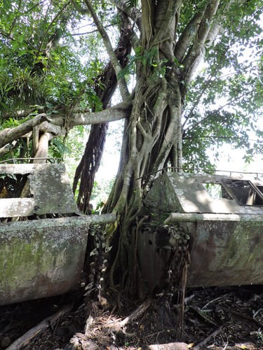 DSCN5584.JPG