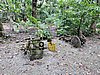 DSCN5508.JPG