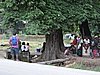 DSCN5562.JPG